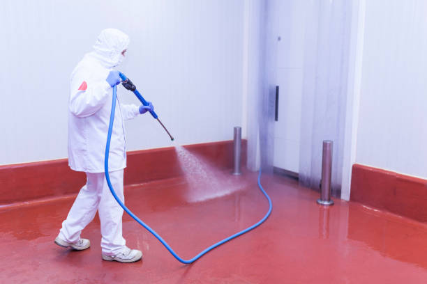  Ponce Inlet, FL Pressure Washing Pros