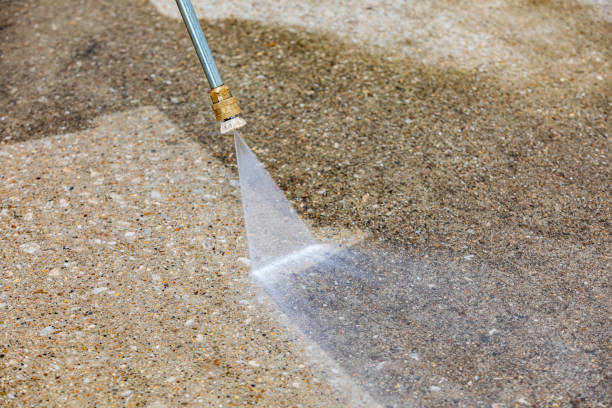 Best Driveway Pressure Washing  in Ponce Inlet, FL